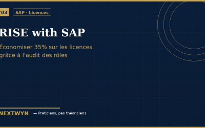 RISE with SAP : l’audit des rôles qui a financé l’intervention